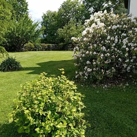 Renove Proche Aurillac, Jardin & Garage - Fr-1-742-148