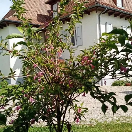 Renove Proche Aurillac, Jardin & Garage - Fr-1-742-148 * Arpajon-sur-Cere